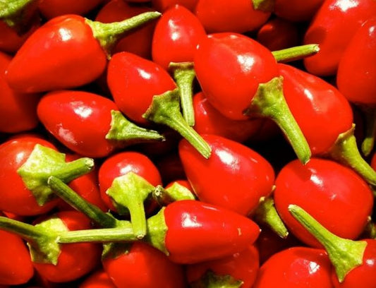 Chiltepin Pepper